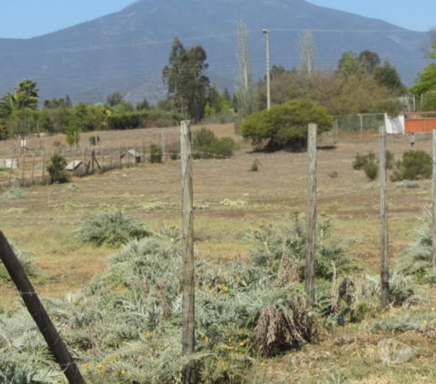 Parcelas en Venta Valparaíso Quintero - Fotos de PARCELA PLANA EN CONDOMINIO VALLE DEL ESTERO