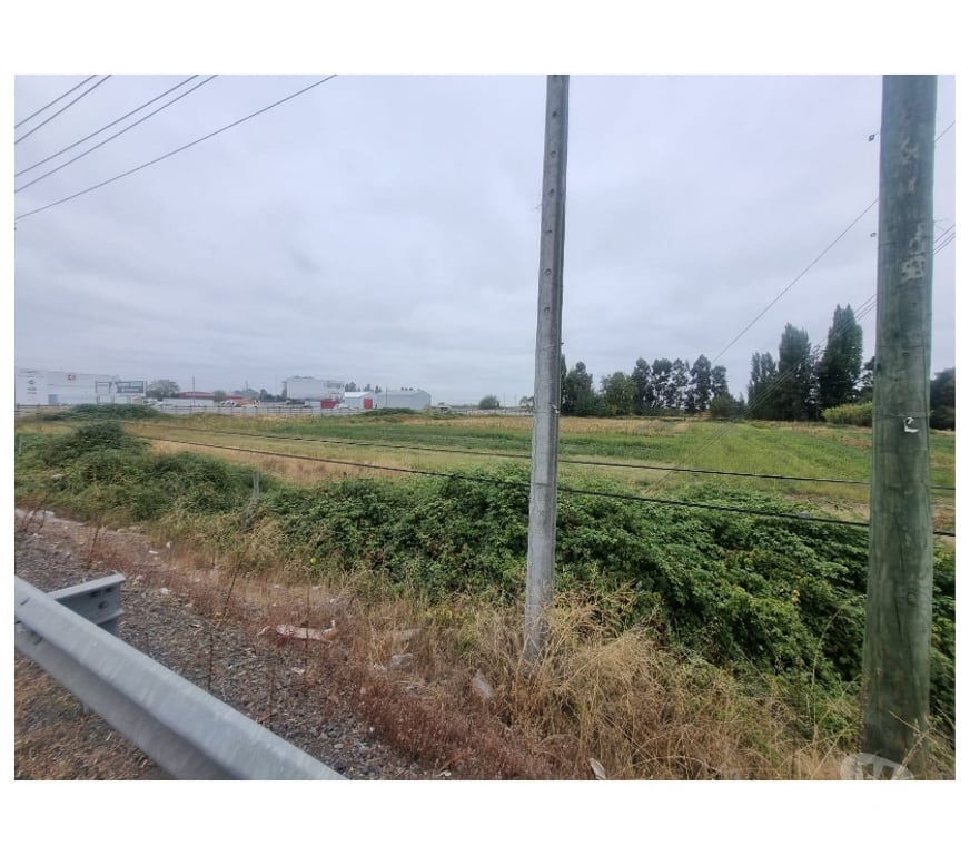 Parcelas en Venta Ñuble Chillán Viejo - Fotos de Terreno 5.7 Ha Orilla Ruta 5 Sur. Chillán. Excelente Precio