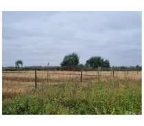 Fotos de Terreno 5.7 Ha Orilla Ruta 5 Sur. Chillán. Excelente Precio