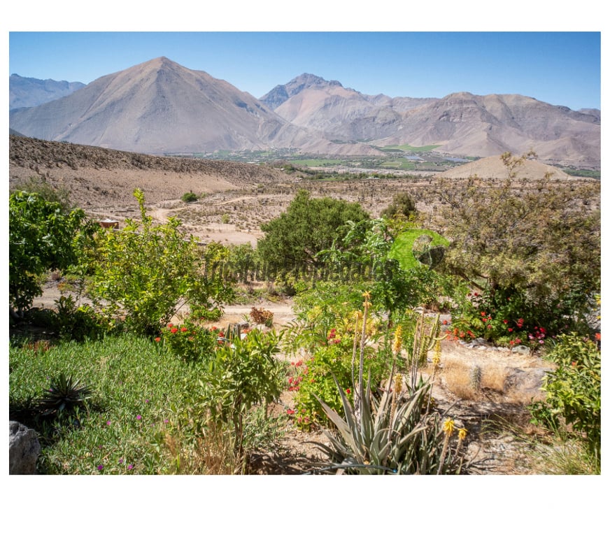 Parcelas en Venta Elqui Vicuña - Fotos de Parcela con linda casa y piscina, Valle del Elqui