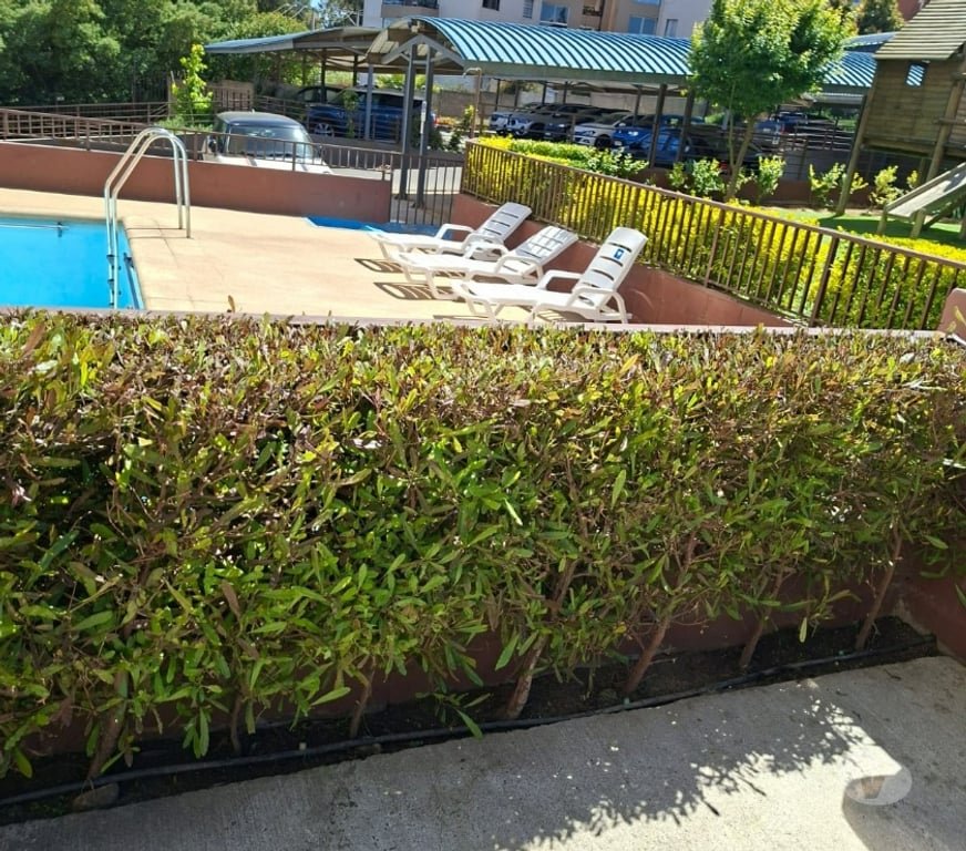 Arriendos Valparaíso Valparaíso - Fotos de Lindo-piso 8-Reñaca Alto-Viña