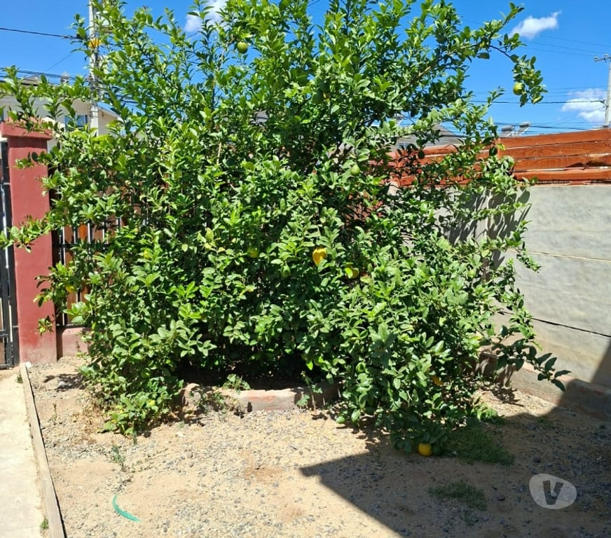 Bienes Raices Valparaíso Villa Alemana - Fotos de Oportunidad-casa 2 pisos-Peñablanca