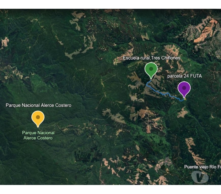 Parcelas en Venta Valdivia Corral - Fotos de Vive naturaleza parcela tres chiflones desde 520UF