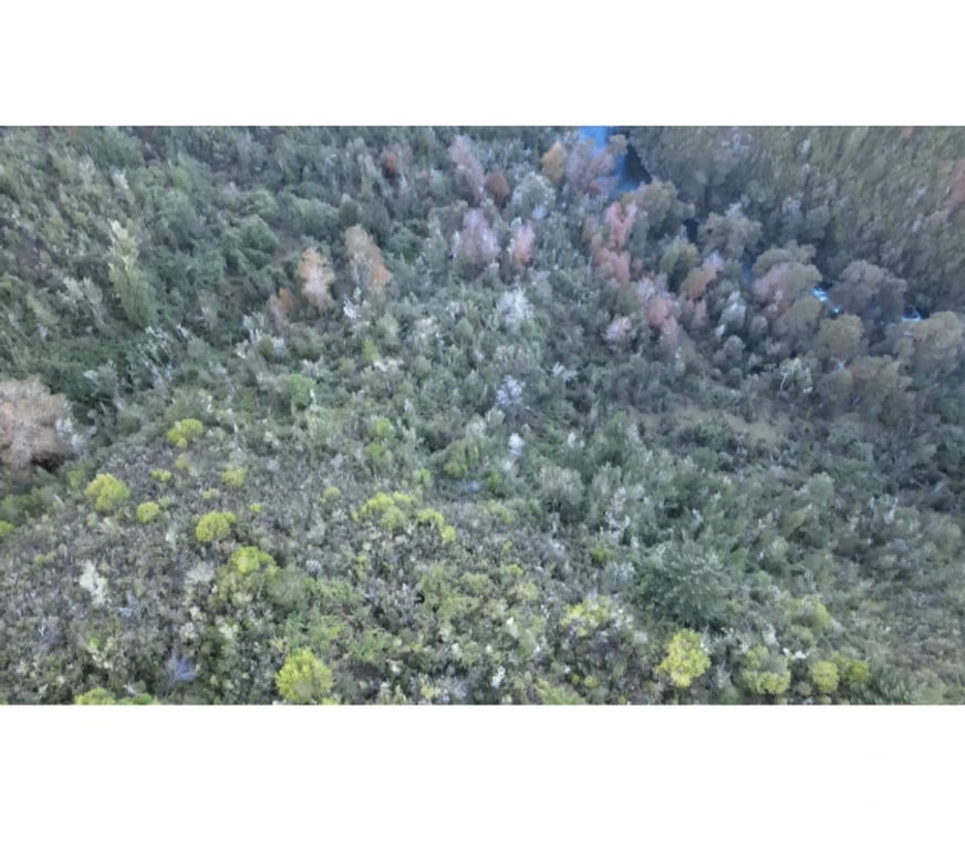 Parcelas en Venta Valdivia Corral - Fotos de Vive naturaleza parcela tres chiflones desde 520UF