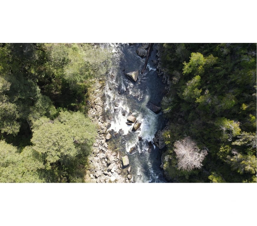 Parcelas en Venta Valdivia Corral - Fotos de Vive naturaleza parcela tres chiflones desde 520UF