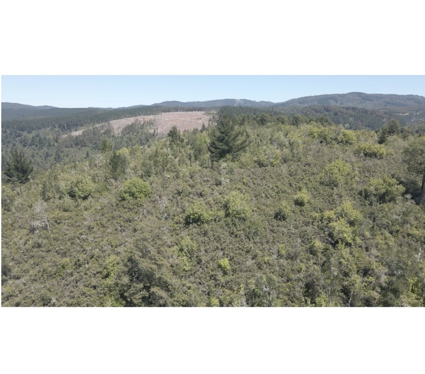 Parcelas en Venta Valdivia Corral - Fotos de Vive naturaleza parcela tres chiflones desde 520UF