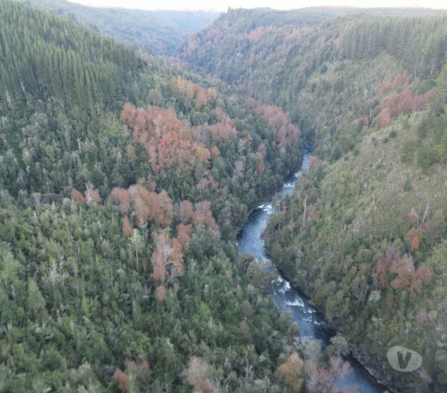 Parcelas en Venta Valdivia Corral - Fotos de Vive naturaleza parcela tres chiflones desde 520UF