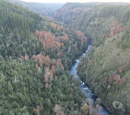 Terrenos en Venta Corral Valdivia - Fotos de Vive naturaleza parcela tres chiflones desde 520UF