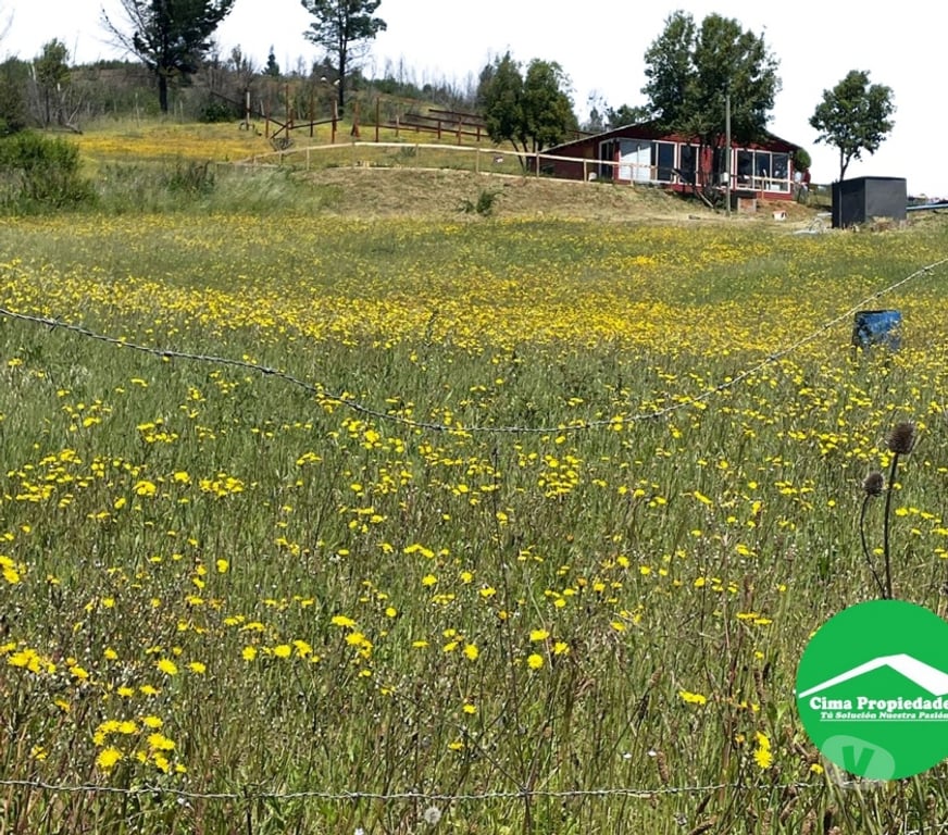 Parcelas en Venta Ñuble Quillón - Fotos de Parcela con Casa en Quillón con Quincho, Piscina y Vista