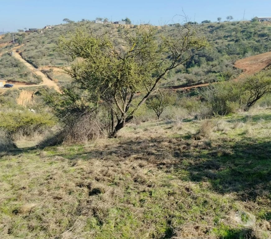Parcelas en Venta Quillota Limache - Fotos de Parcela 5252 m2 Hacienda Limache