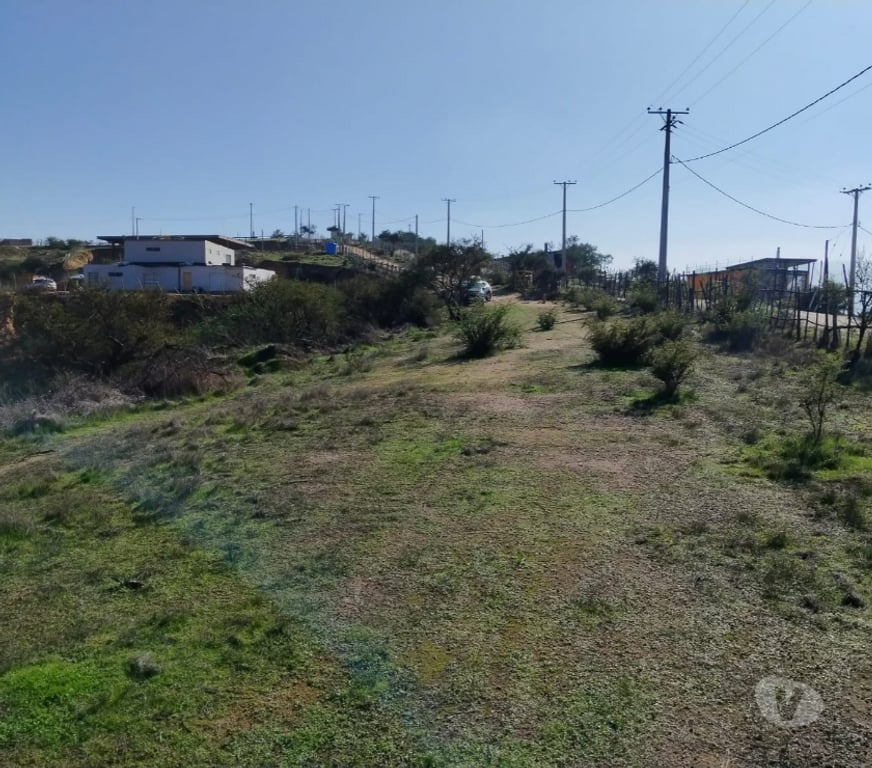 Parcelas en Venta Quillota Limache - Fotos de Parcela 5252 m2 Hacienda Limache