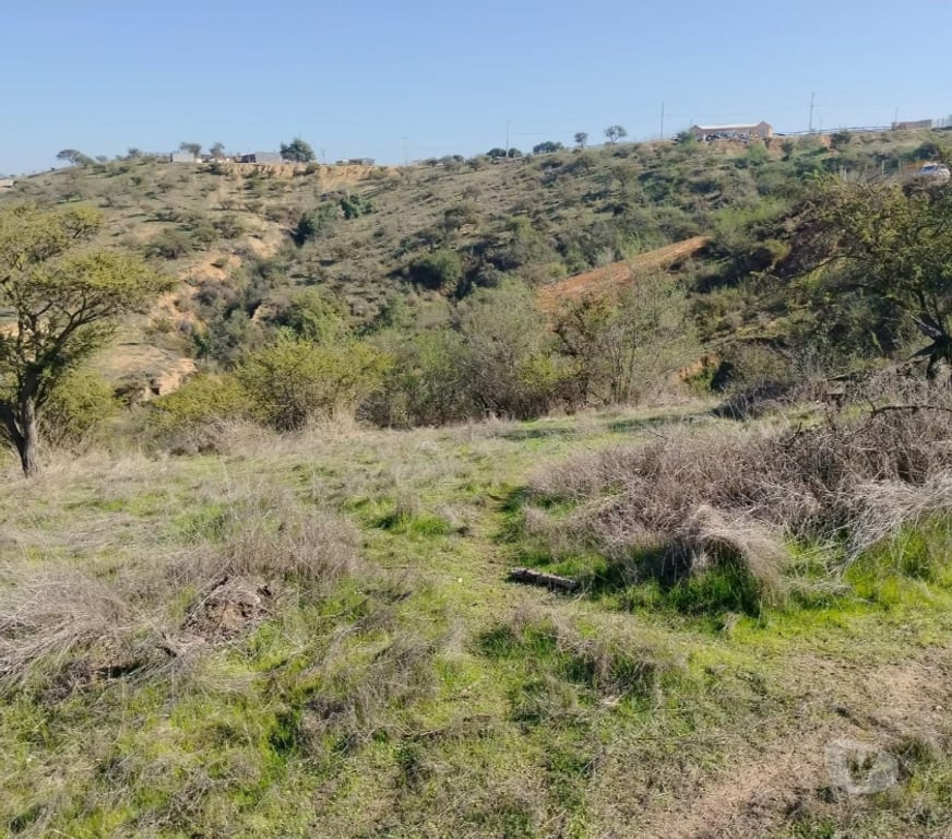 Parcelas en Venta Quillota Limache - Fotos de Parcela 5252 m2 Hacienda Limache