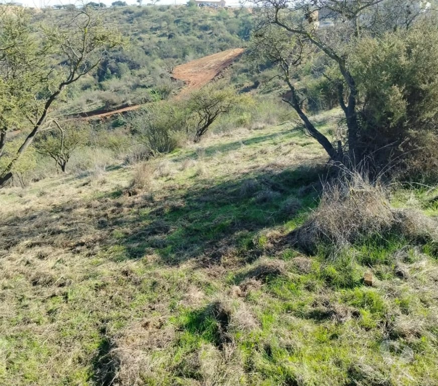 Parcelas en Venta Quillota Limache - Fotos de Parcela 5252 m2 Hacienda Limache