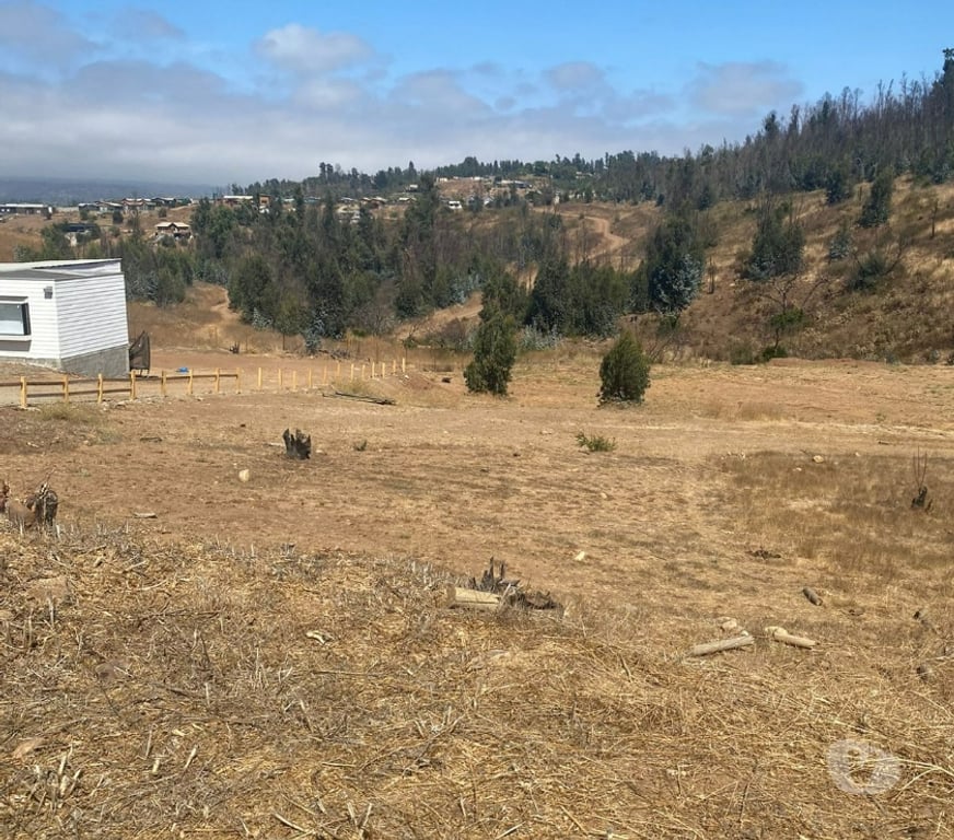 Parcelas en Venta Valparaíso Concón - Fotos de Terreno 1000 m2 en Condominio Barrio Colmo