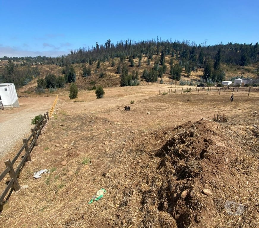 Parcelas en Venta Valparaíso Concón - Fotos de Terreno 1000 m2 en Condominio Barrio Colmo