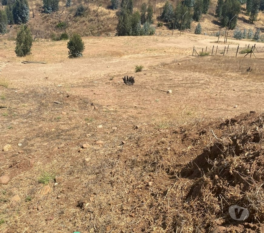 Parcelas en Venta Valparaíso Concón - Fotos de Terreno 1000 m2 en Condominio Barrio Colmo