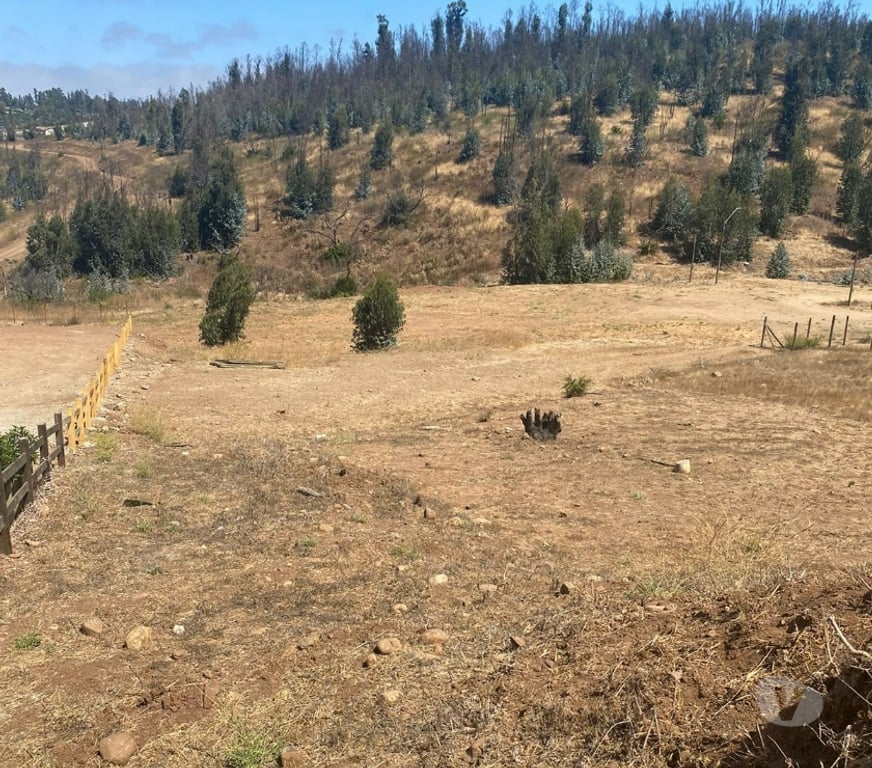 Parcelas en Venta Valparaíso Concón - Fotos de Terreno 1000 m2 en Condominio Barrio Colmo