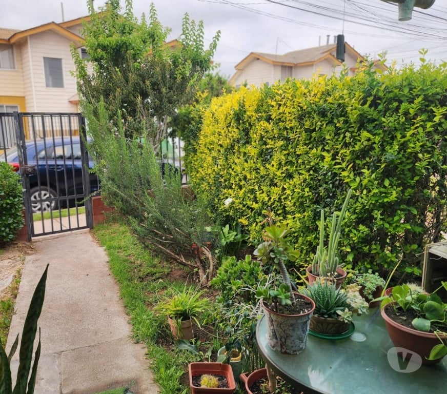 Bienes Raices Elqui Conquimbo - Fotos de Venta de casa Bosque San Carlos