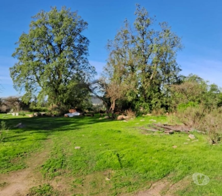 Parcelas en Venta Melipilla Melipilla - Fotos de Parcela Agricola Con Casa San Pedro Melipilla