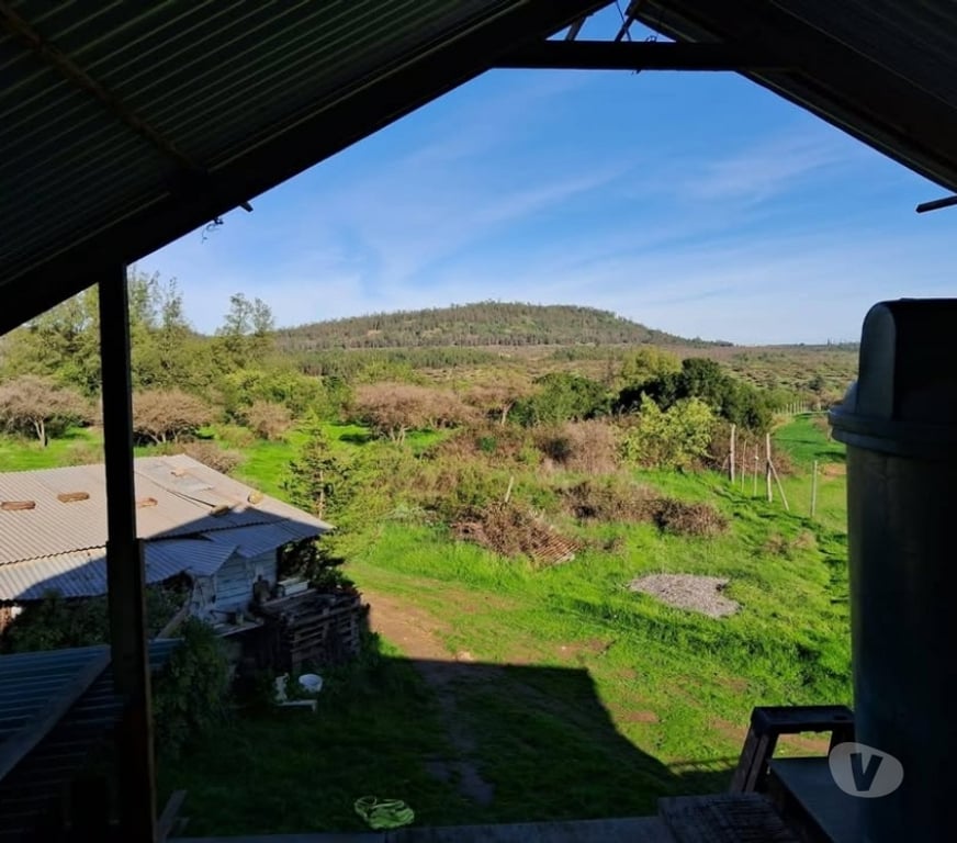 Parcelas en Venta Melipilla Melipilla - Fotos de Parcela Agricola Con Casa San Pedro Melipilla