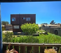 Fotos de En venta tres casas en Infiernillo, Pichilemu.