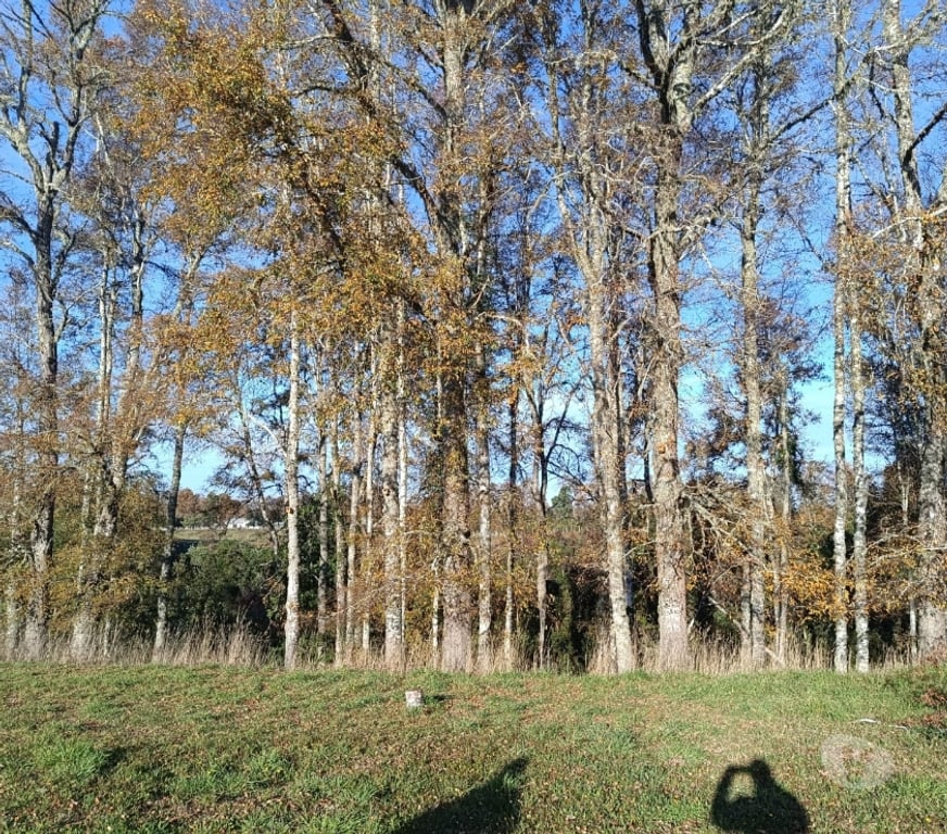 Parcelas en Venta Valdivia Valdivia - Fotos de Parcela estilo mediterráneo en la entrada norte de Valdivia