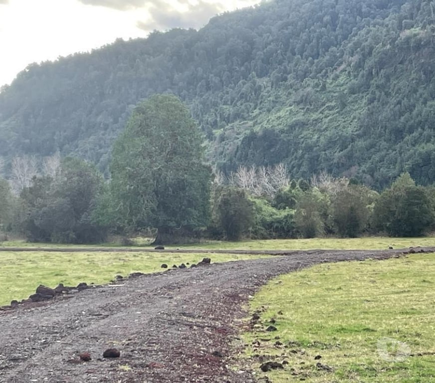 Parcelas en Venta Ranco Lago Ranco - Fotos de Riñinahue: Paraíso, familia y vida de ensueño.