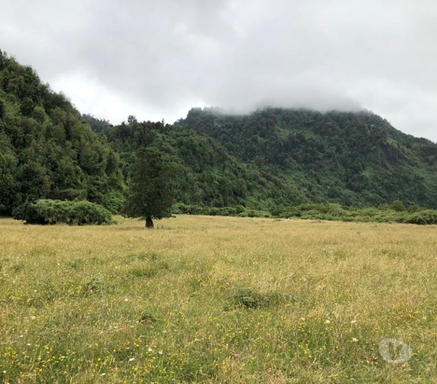 Parcelas en Venta Ranco Lago Ranco - Fotos de Riñinahue: Paraíso, familia y vida de ensueño.
