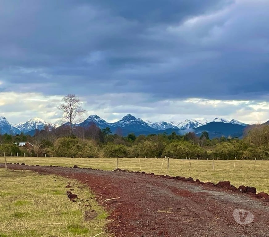 Parcelas en Venta Ranco Lago Ranco - Fotos de Riñinahue: Paraíso, familia y vida de ensueño.