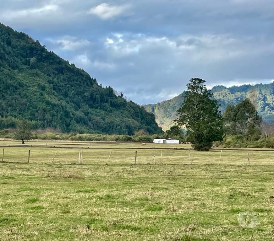 Parcelas en Venta Ranco Lago Ranco - Fotos de Riñinahue: Paraíso, familia y vida de ensueño.