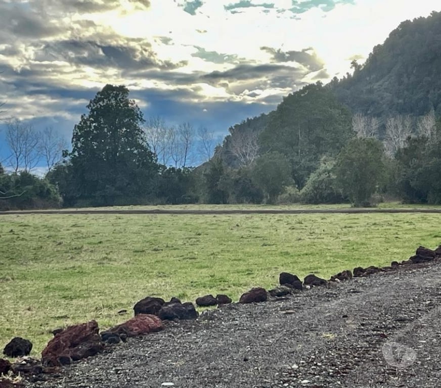 Parcelas en Venta Ranco Lago Ranco - Fotos de Riñinahue: Paraíso, familia y vida de ensueño.