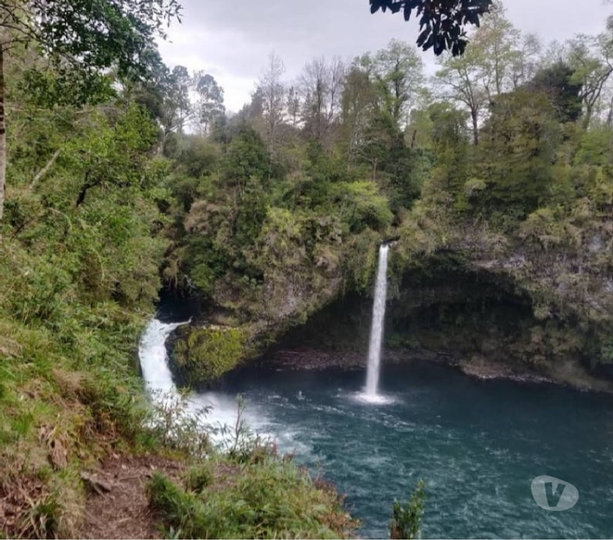 Parcelas en Venta Ranco Lago Ranco - Fotos de Riñinahue: Paraíso, familia y vida de ensueño.