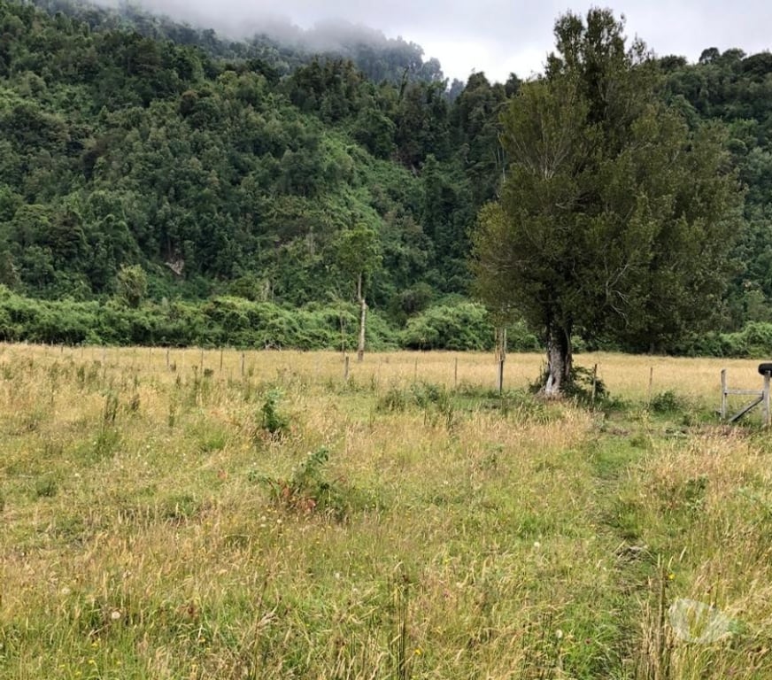 Parcelas en Venta Ranco Lago Ranco - Fotos de Riñinahue: Paraíso, familia y vida de ensueño.
