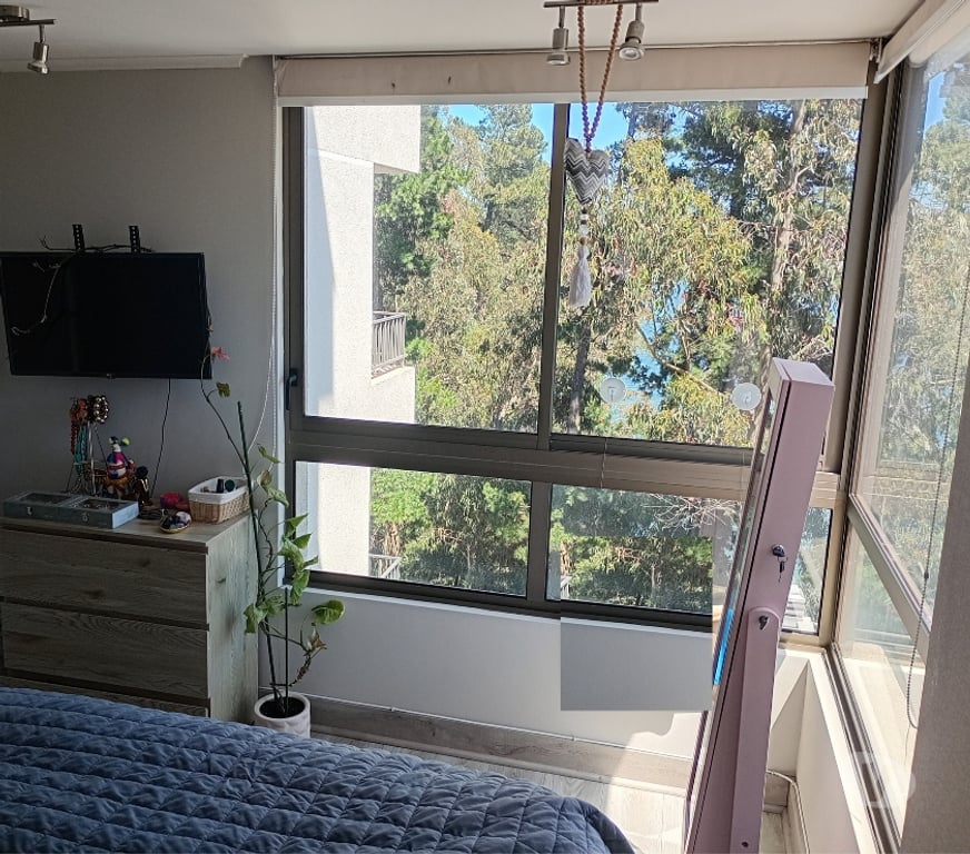 Arriendos Concepción San Pedro de la Paz - Fotos de Linda vista a Laguna Grande, rodeado de naturaleza