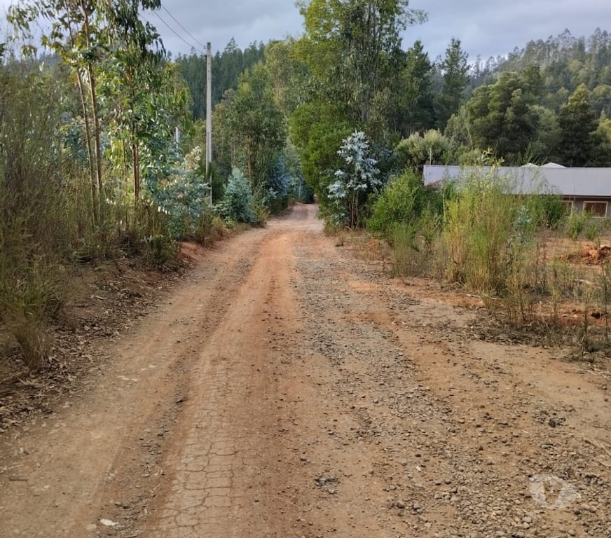 Parcelas en Venta Concepción Concepción - Fotos de Se VENDE PARCELA