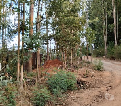 Terrenos en Venta Concepción Concepción - Fotos de Se VENDE PARCELA