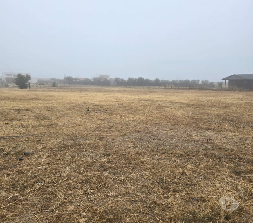 Parcelas en Venta Cachapoal Rengo - Fotos de Pelequen, Sector Los Maquis ,Condominio Valle de Los Olivos