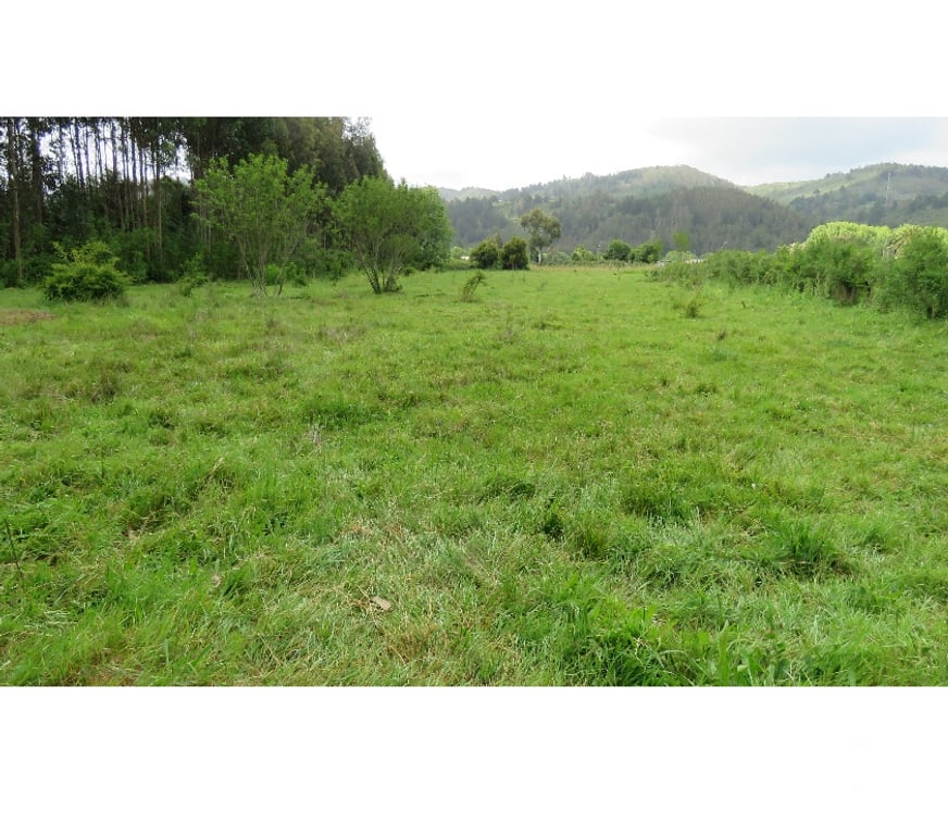 Parcelas en Venta Ñuble Cobquecura - Fotos de Las Canchas, Cobquecura