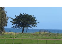 Fotos de SANTA RITA, CAMPO Y MAR.