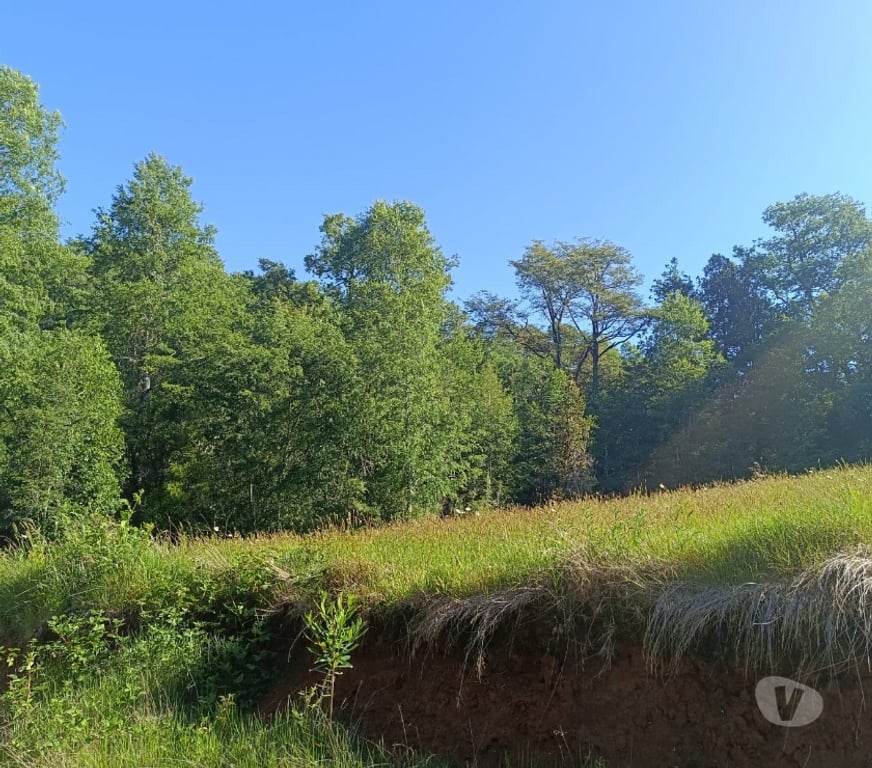 Parcelas en Venta Valdivia Valdivia - Fotos de Terreno con vista y magia natural en Valdivia