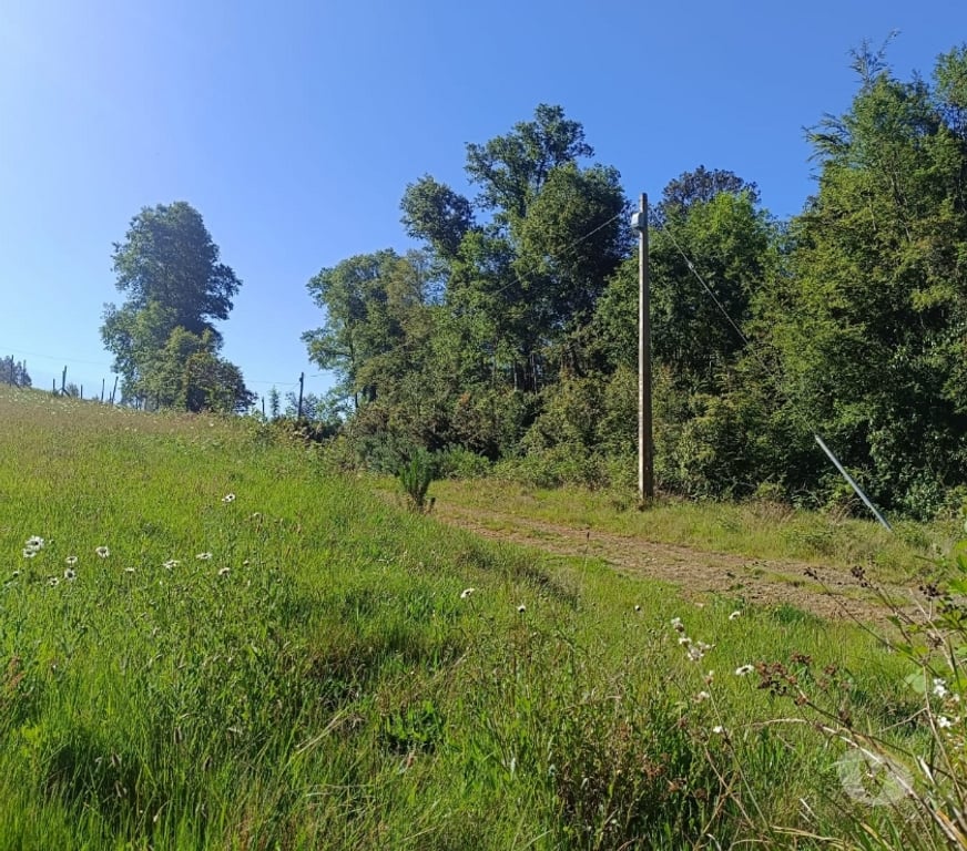 Parcelas en Venta Valdivia Valdivia - Fotos de Terreno con vista y magia natural en Valdivia