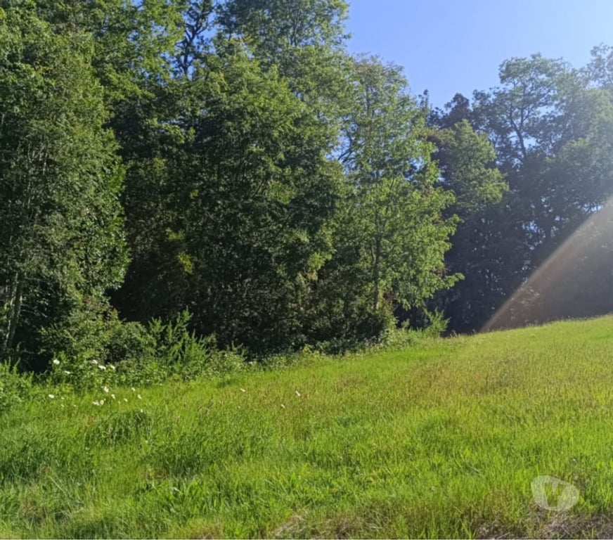 Parcelas en Venta Valdivia Valdivia - Fotos de Terreno con vista y magia natural en Valdivia