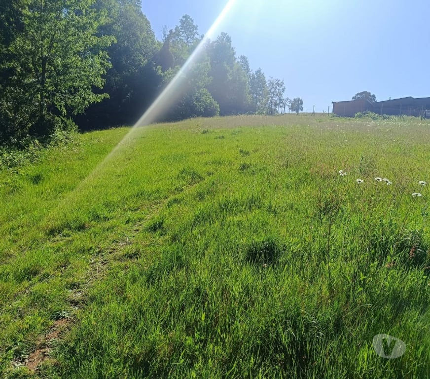 Parcelas en Venta Valdivia Valdivia - Fotos de Terreno con vista y magia natural en Valdivia