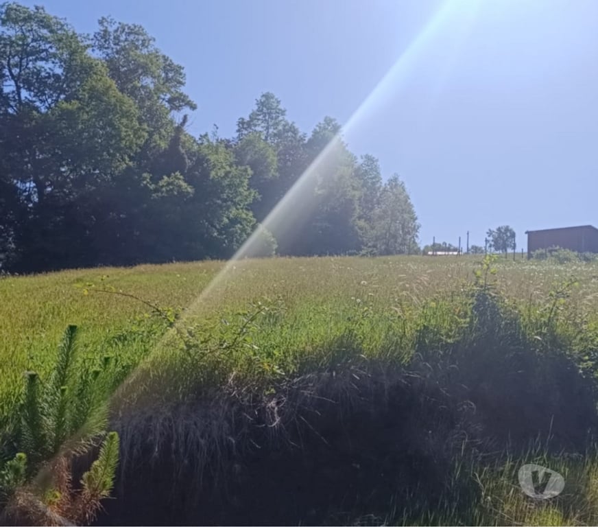 Parcelas en Venta Valdivia Valdivia - Fotos de Terreno con vista y magia natural en Valdivia