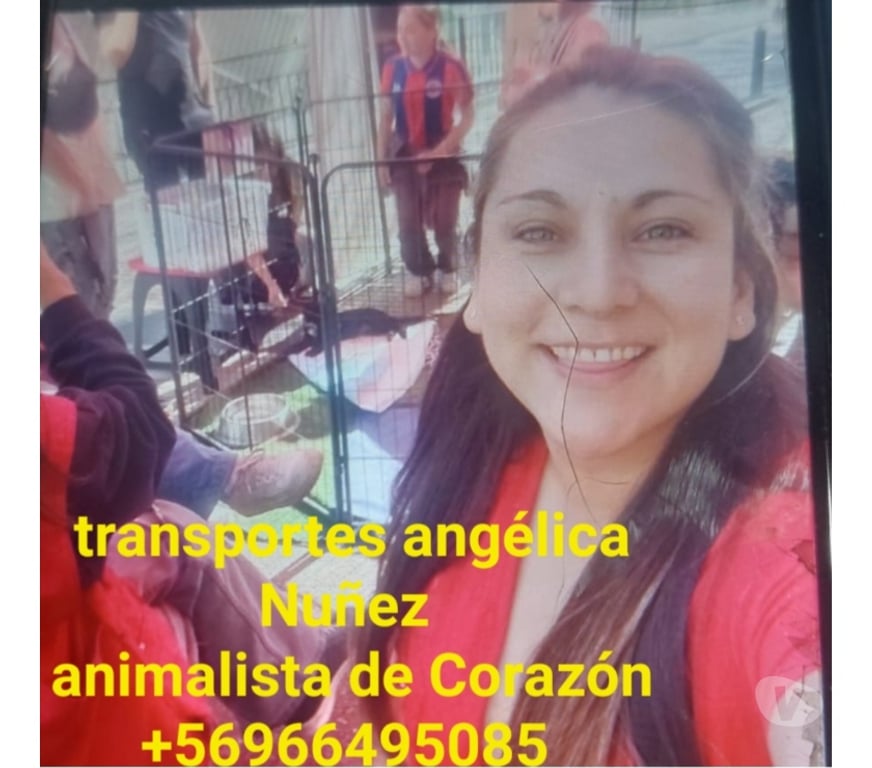 Fletes y Mudanzas - Transportes Santiago Santiago - Fotos de Retiro escombros santiago ñuñoa aridos +56973677079