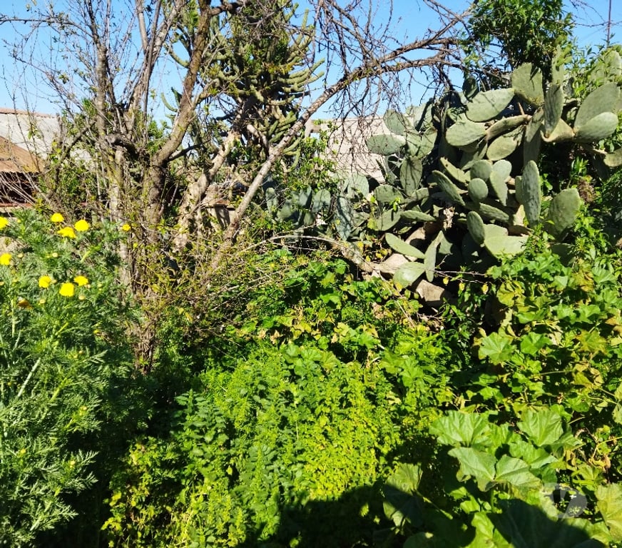 Parcelas en Venta Valparaíso Quilpué - Fotos de TERRENO PLANO URBANIZADO CON CONSTRUCCIÓN LIVIANA