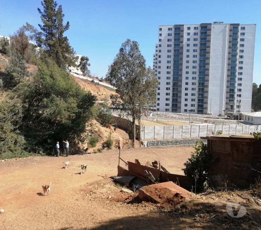 Parcelas en Venta Valparaíso Viña del Mar - Fotos de TERRENO IDEAL INVERSIÓN REÑACA ALTO.