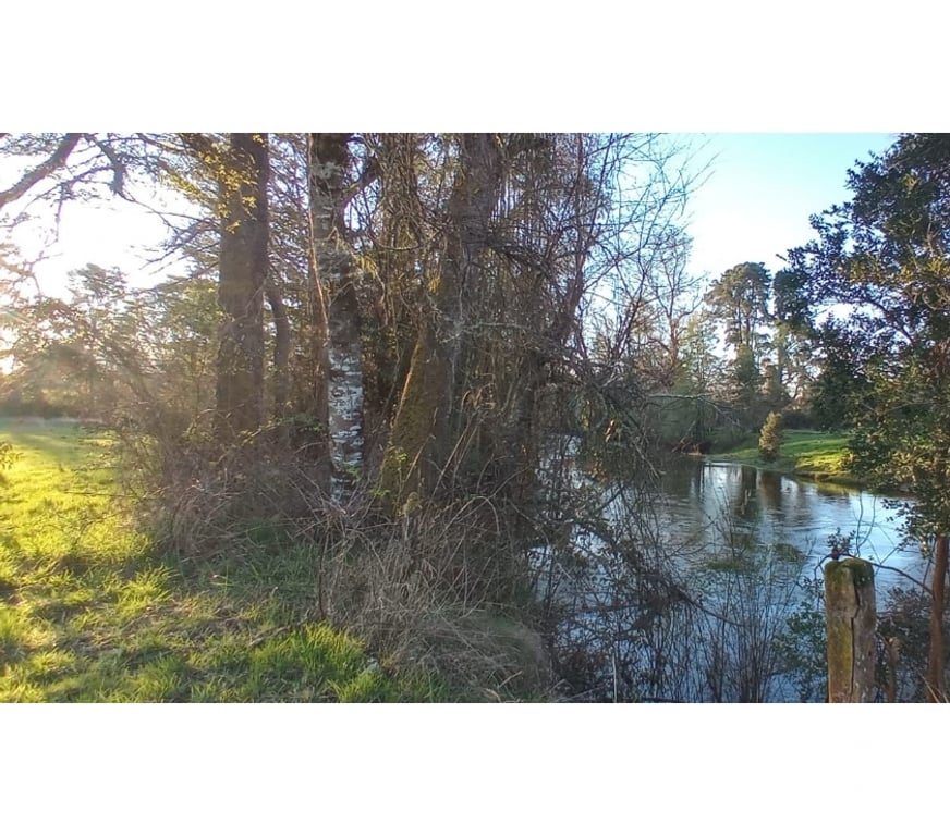 Parcelas en Venta Valdivia Máfil - Fotos de PARCELA ORILLA DE RIO