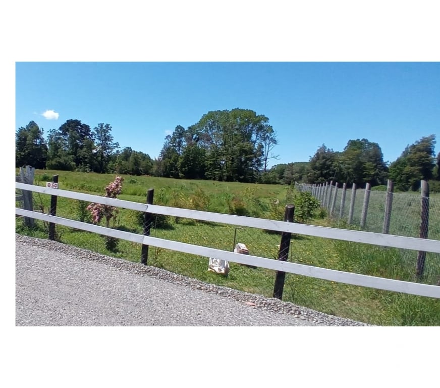 Parcelas en Venta Valdivia Máfil - Fotos de PARCELA ORILLA DE RIO