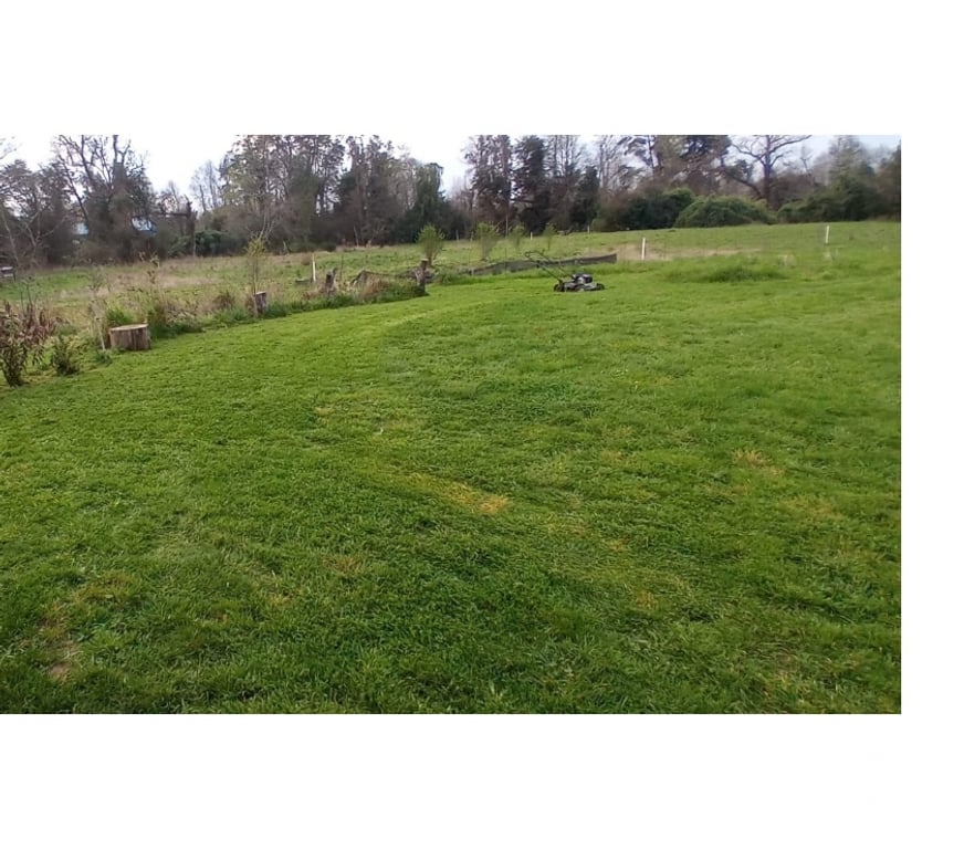 Parcelas en Venta Valdivia Máfil - Fotos de PARCELA ORILLA DE RIO